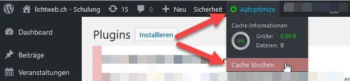 Autoptimize Cache leeren