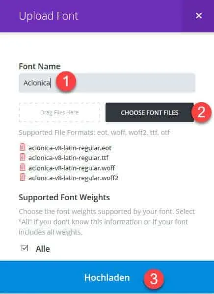 Google Fonts hochladen im Divi Builder