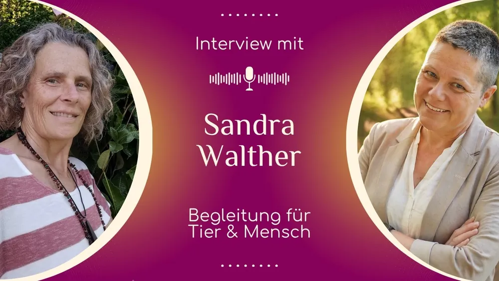 Vorschaubild: Mensch und Tier im Gespräch mit Sandra Walther