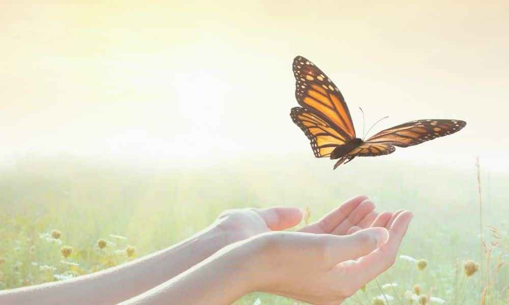 Endlich Durchstarten Onlinekurs