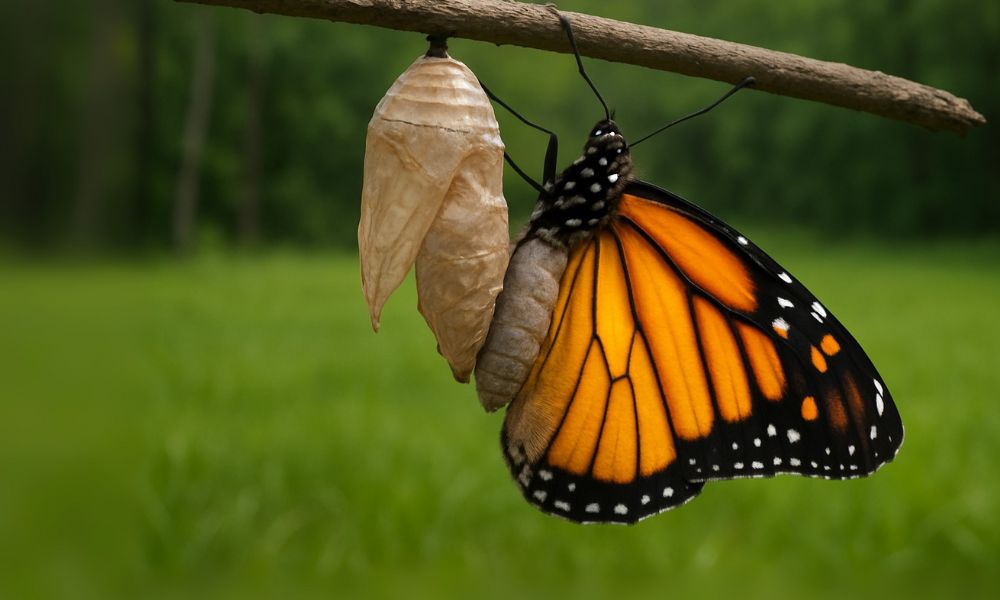 Lieber unperfekt starten – als perfekt warten