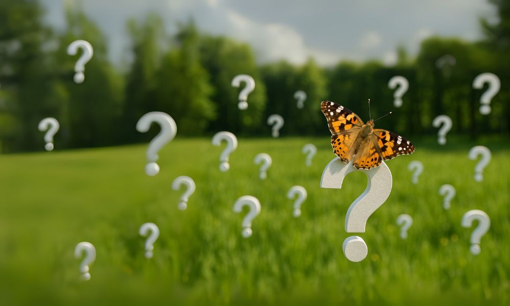 Diese Fragen lassen dich und dein Business wachsen