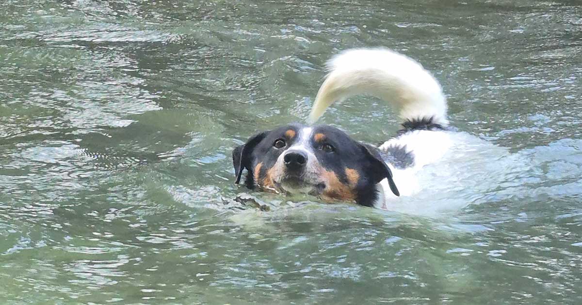 Monatsrückblick Juli 2025