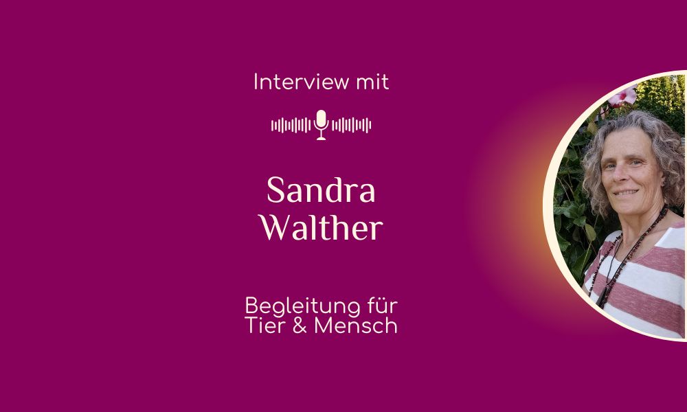 Sandra Walther Interview
